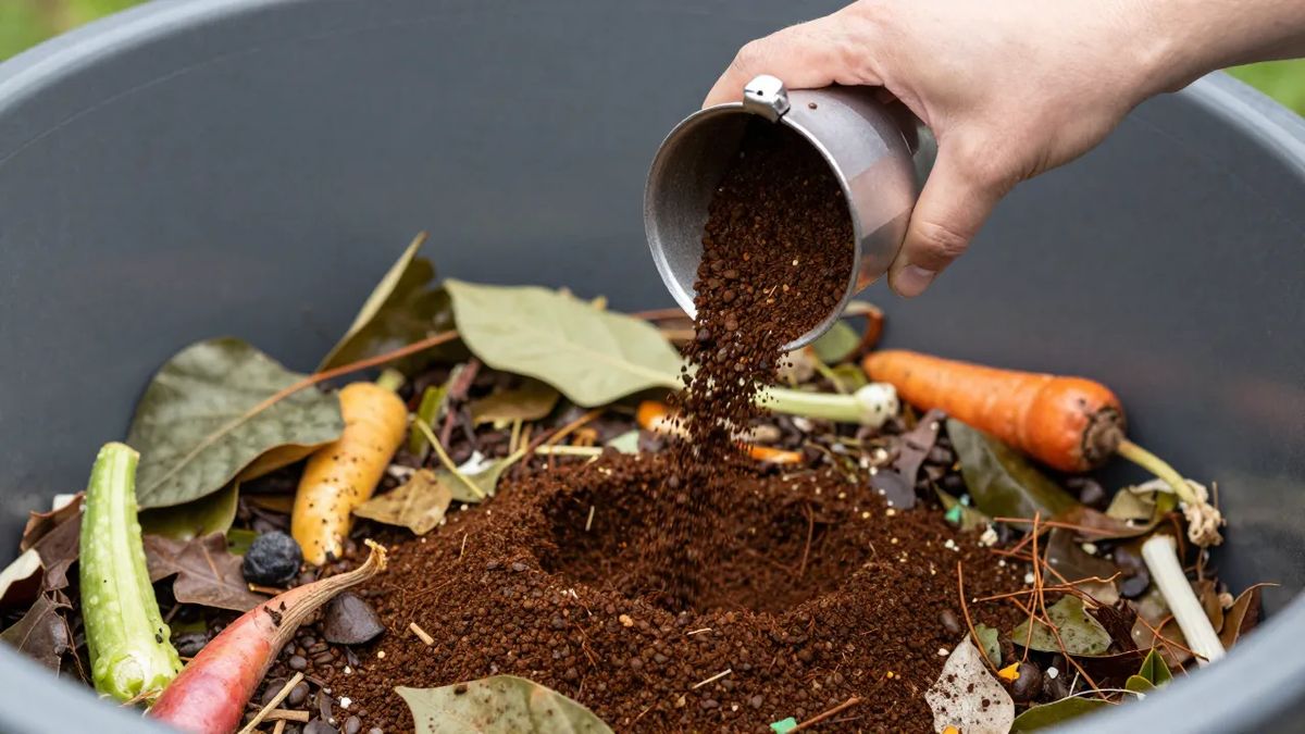 Borra de café sendo despejada na composteira do quintal