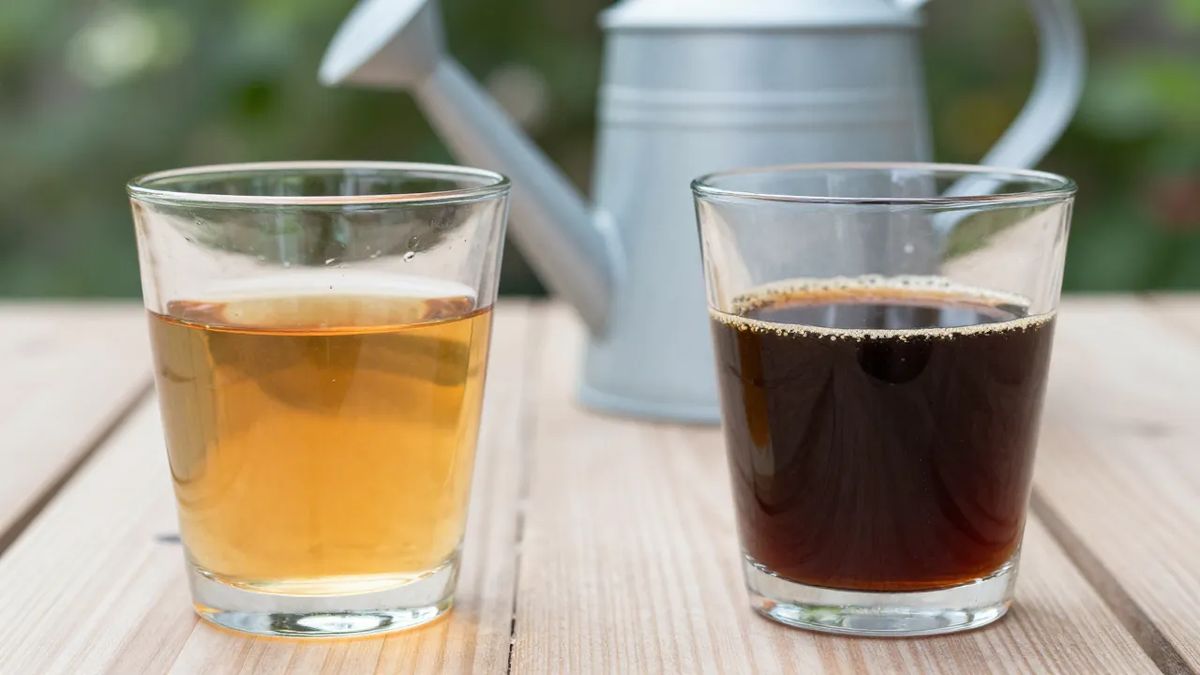 Dois copos comparando a diluição: líquido claro cor de chá fraco e líquido escuro cor de café
