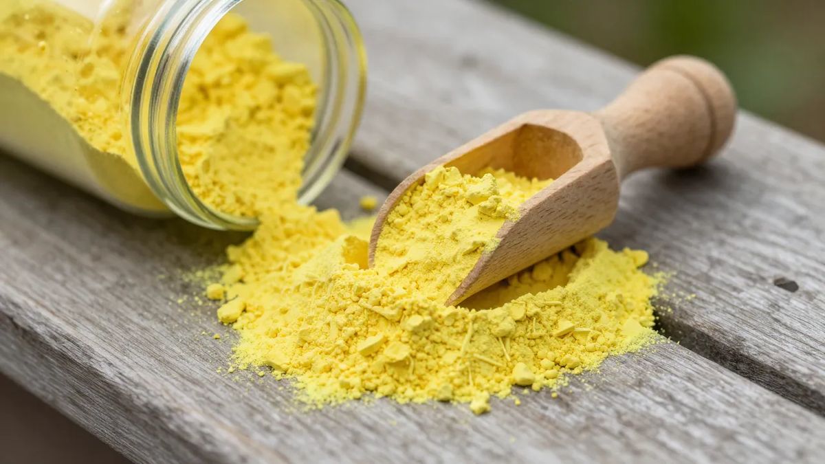 Pó amarelo vivo de enxofre em colher sobre o pote