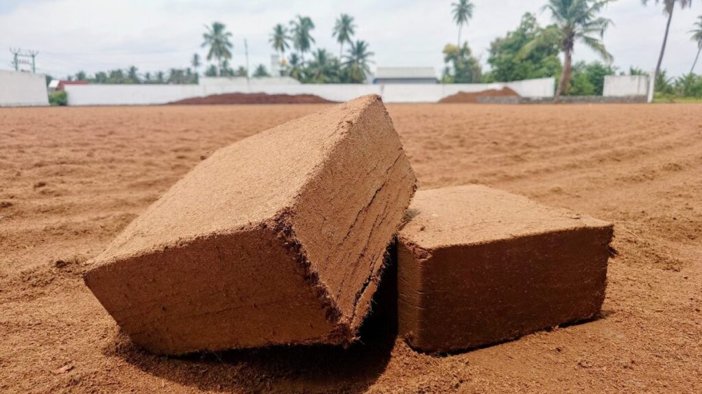 Fibra de coco: como usar no substrato e o que ela substitui