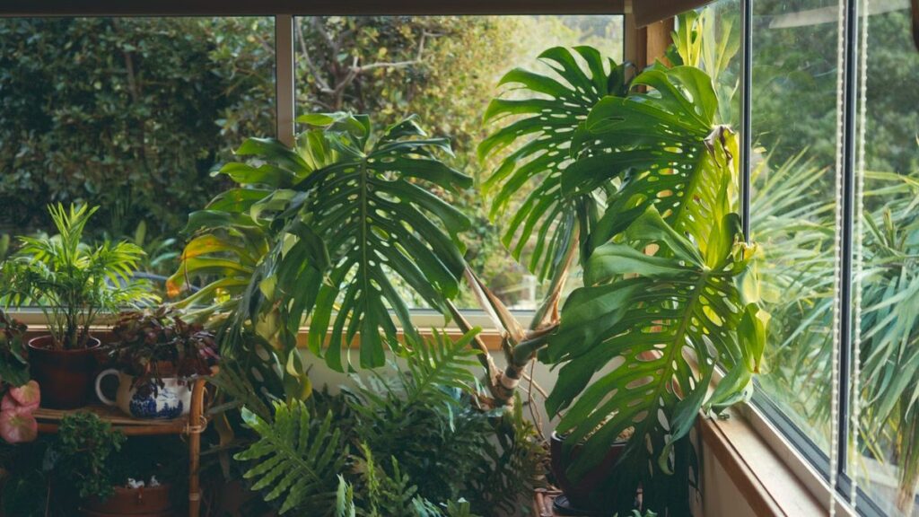 Jardim de inverno: luz, ventilação e drenagem no vão envidraçado