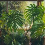 Jardim de inverno: luz, ventilação e drenagem no vão envidraçado