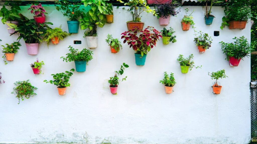 Jardim vertical: sistemas, substrato, irrigação e manutenção