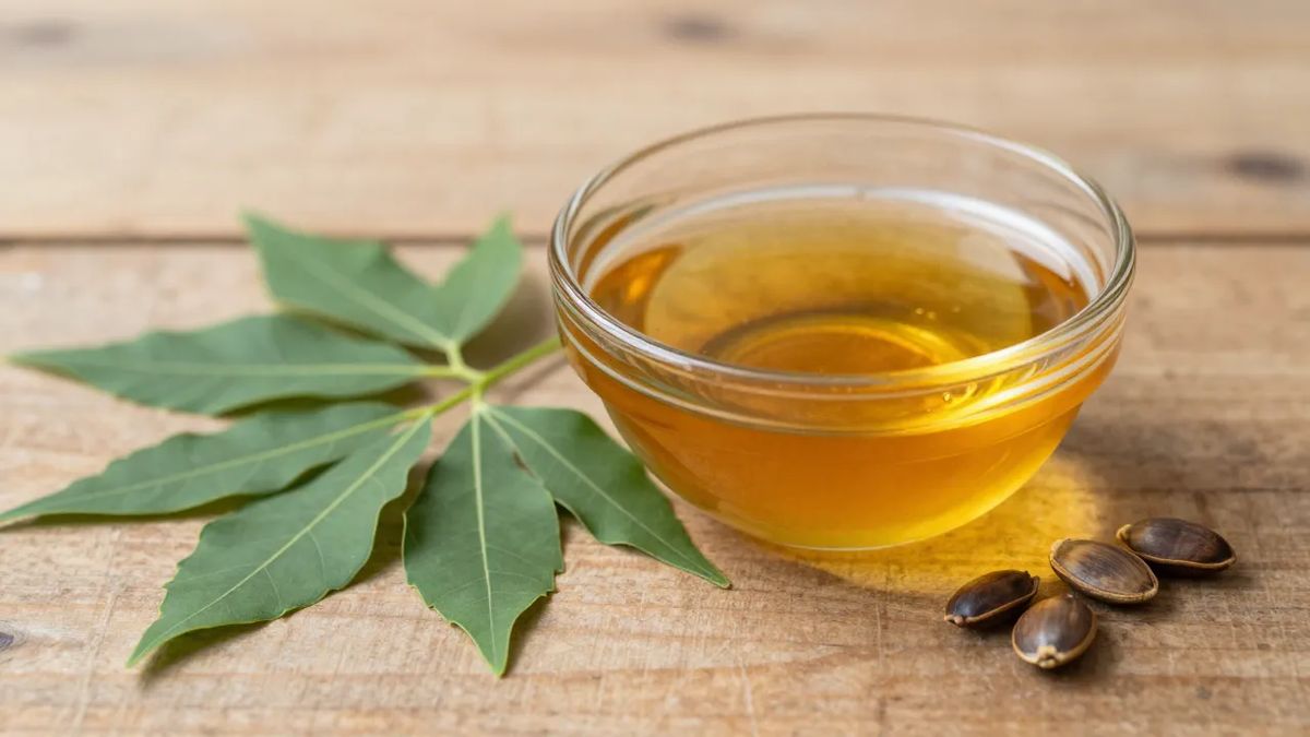 Tigela de óleo de neem âmbar ao lado de folhas da árvore de nim