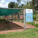 Sombrite: qual porcentagem usar para cada planta