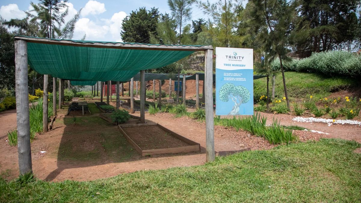 Sombrite: qual porcentagem usar para cada planta