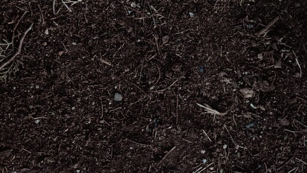 Terra adubada: como escolher o saco e corrigir a mistura