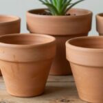 Vaso de barro: porosidade, sal na parede e onde ele rende